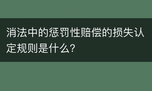 消法中的惩罚性赔偿的损失认定规则是什么？