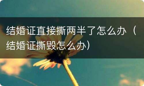 结婚证直接撕两半了怎么办（结婚证撕毁怎么办）