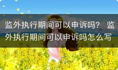 监外执行期间可以申诉吗？ 监外执行期间可以申诉吗怎么写
