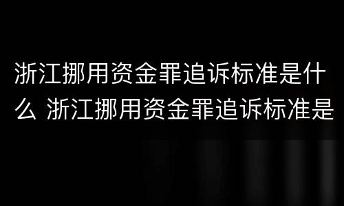 浙江挪用资金罪追诉标准是什么 浙江挪用资金罪追诉标准是什么呢