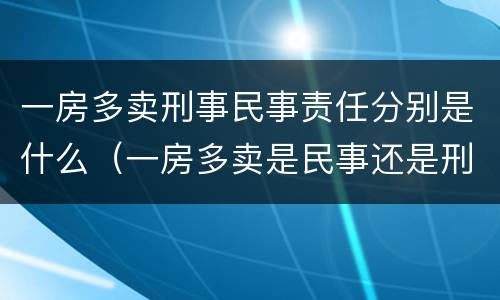 一房多卖刑事民事责任分别是什么（一房多卖是民事还是刑事）