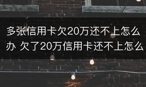 多张信用卡欠20万还不上怎么办 欠了20万信用卡还不上怎么办