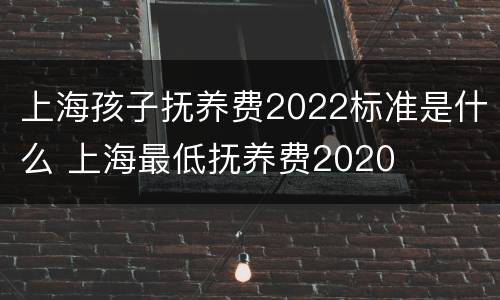 上海孩子抚养费2022标准是什么 上海最低抚养费2020