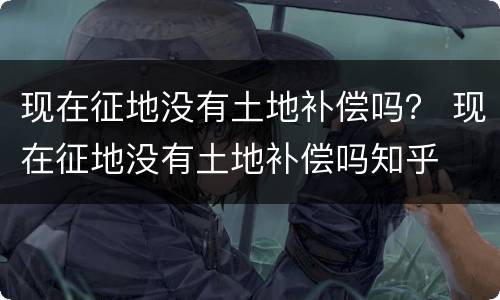 现在征地没有土地补偿吗？ 现在征地没有土地补偿吗知乎
