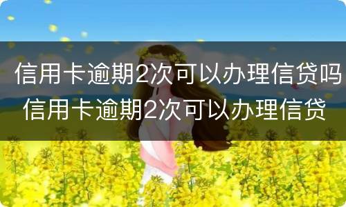 信用卡逾期2次可以办理信贷吗 信用卡逾期2次可以办理信贷吗