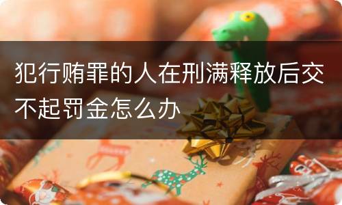 犯行贿罪的人在刑满释放后交不起罚金怎么办