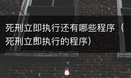 死刑立即执行还有哪些程序（死刑立即执行的程序）