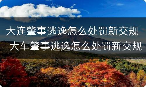 大连肇事逃逸怎么处罚新交规 大车肇事逃逸怎么处罚新交规
