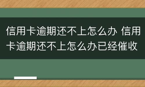 信用卡逾期还不上怎么办 信用卡逾期还不上怎么办已经催收了