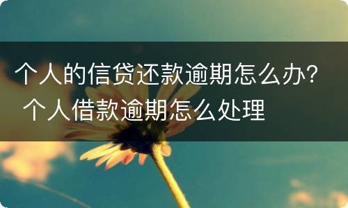 个人的信贷还款逾期怎么办？ 个人借款逾期怎么处理