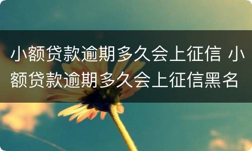 小额贷款逾期多久会上征信 小额贷款逾期多久会上征信黑名单