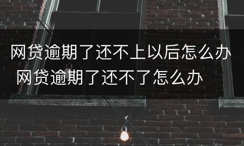 网贷逾期了还不上以后怎么办 网贷逾期了还不了怎么办