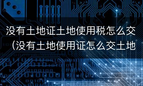 没有土地证土地使用税怎么交（没有土地使用证怎么交土地使用税）