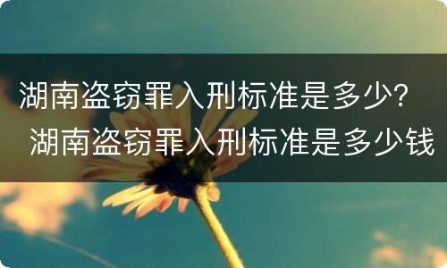 湖南盗窃罪入刑标准是多少？ 湖南盗窃罪入刑标准是多少钱