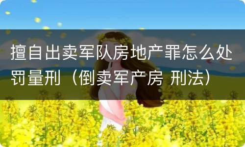 擅自出卖军队房地产罪怎么处罚量刑（倒卖军产房 刑法）