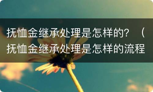 抚恤金继承处理是怎样的？（抚恤金继承处理是怎样的流程）
