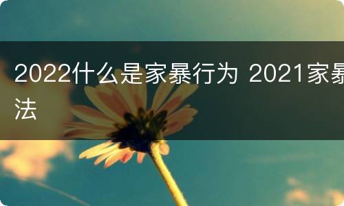 2022什么是家暴行为 2021家暴法