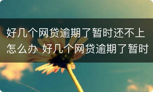 好几个网贷逾期了暂时还不上怎么办 好几个网贷逾期了暂时还不上怎么办呢