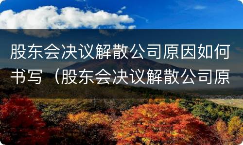 股东会决议解散公司原因如何书写（股东会决议解散公司原因如何书写申请）