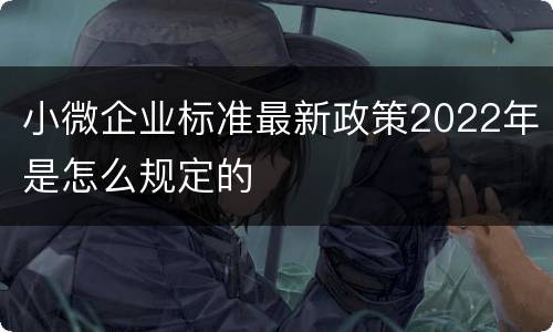 小微企业标准最新政策2022年是怎么规定的