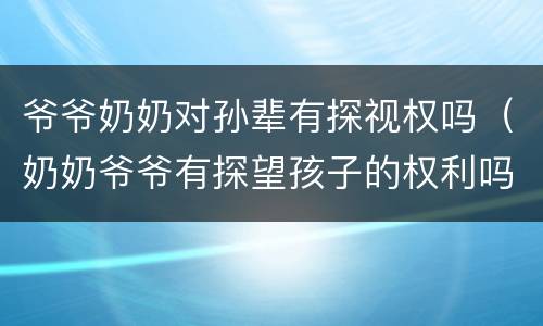爷爷奶奶对孙辈有探视权吗（奶奶爷爷有探望孩子的权利吗）