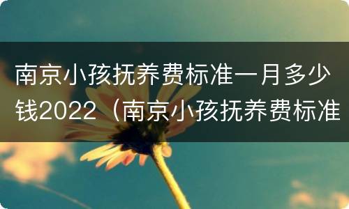 南京小孩抚养费标准一月多少钱2022（南京小孩抚养费标准一月多少钱2021年）