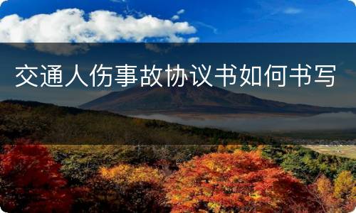 交通人伤事故协议书如何书写
