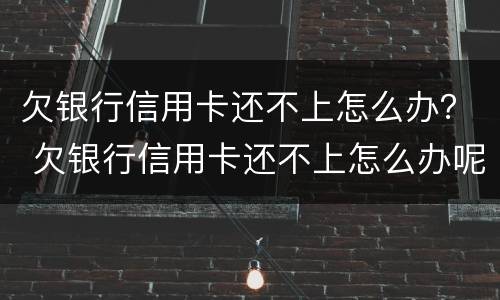欠银行信用卡还不上怎么办？ 欠银行信用卡还不上怎么办呢