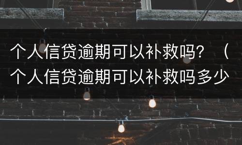 个人信贷逾期可以补救吗？（个人信贷逾期可以补救吗多少钱）
