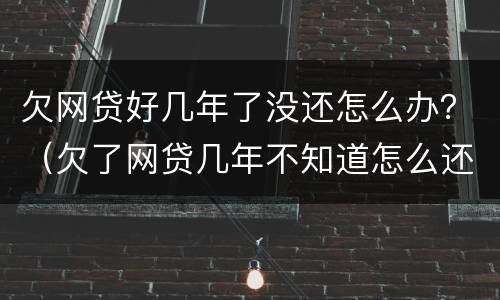 欠网贷好几年了没还怎么办？（欠了网贷几年不知道怎么还）