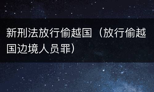 新刑法放行偷越国（放行偷越国边境人员罪）