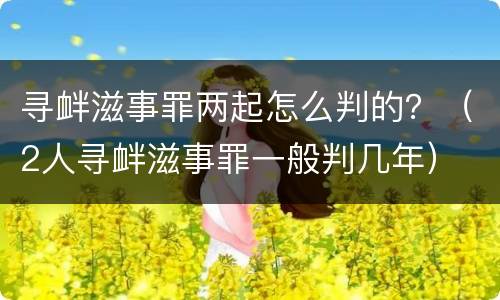 寻衅滋事罪两起怎么判的？（2人寻衅滋事罪一般判几年）