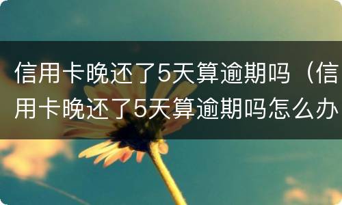信用卡晚还了5天算逾期吗（信用卡晚还了5天算逾期吗怎么办）