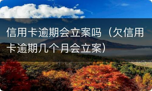 信用卡逾期会立案吗（欠信用卡逾期几个月会立案）