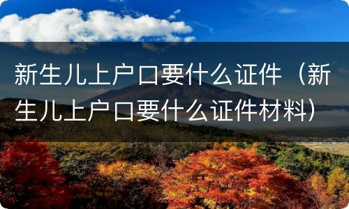 新生儿上户口要什么证件（新生儿上户口要什么证件材料）