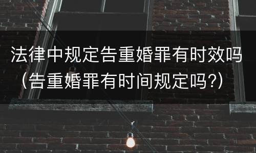 法律中规定告重婚罪有时效吗（告重婚罪有时间规定吗?）