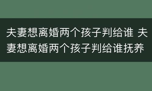 夫妻想离婚两个孩子判给谁 夫妻想离婚两个孩子判给谁抚养