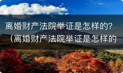 离婚财产法院举证是怎样的？（离婚财产法院举证是怎样的）