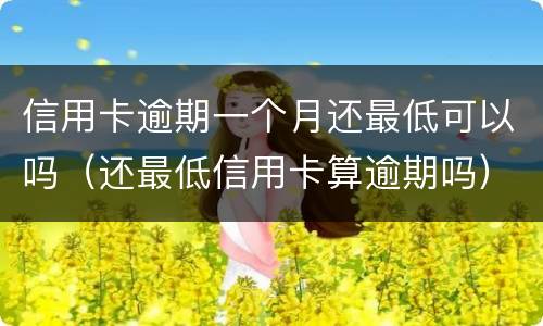 信用卡逾期一个月还最低可以吗（还最低信用卡算逾期吗）