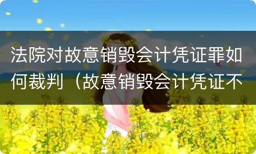 法院对故意销毁会计凭证罪如何裁判（故意销毁会计凭证不构成犯罪）