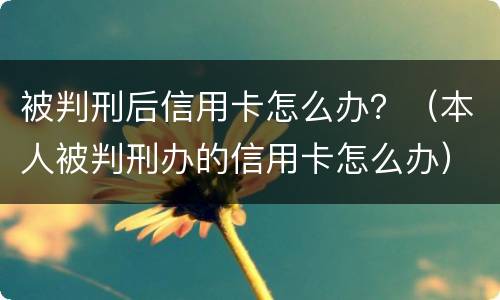 被判刑后信用卡怎么办？（本人被判刑办的信用卡怎么办）