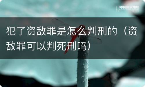 犯了资敌罪是怎么判刑的（资敌罪可以判死刑吗）