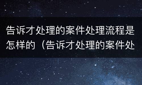 告诉才处理的案件处理流程是怎样的（告诉才处理的案件处理流程是怎样的程序）
