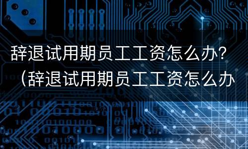 辞退试用期员工工资怎么办？（辞退试用期员工工资怎么办手续）