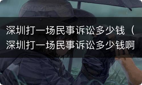 深圳打一场民事诉讼多少钱（深圳打一场民事诉讼多少钱啊）