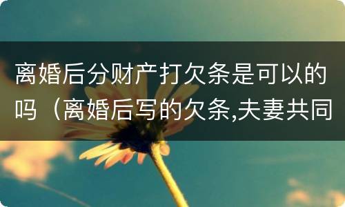 离婚后分财产打欠条是可以的吗（离婚后写的欠条,夫妻共同承担）