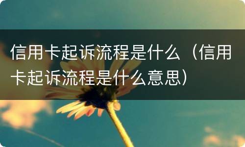信用卡起诉流程是什么（信用卡起诉流程是什么意思）