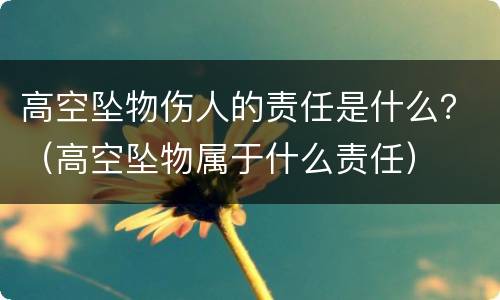 高空坠物伤人的责任是什么？（高空坠物属于什么责任）