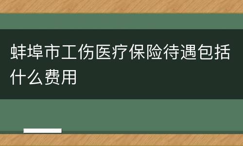 蚌埠市工伤医疗保险待遇包括什么费用