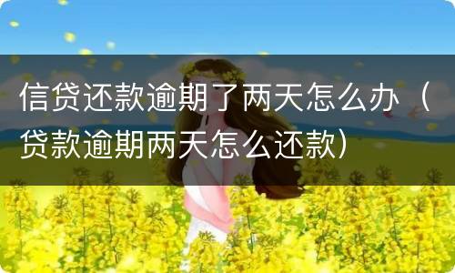 信贷还款逾期了两天怎么办（贷款逾期两天怎么还款）